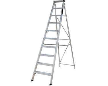 10 TREAD ALI STEP LADDER