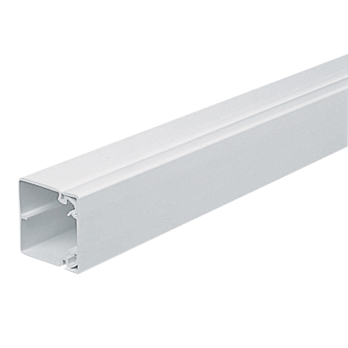 50X50 MAXI TRUNKING     